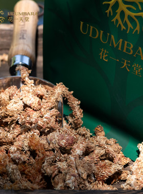 智利进口七星级毛毛虫水苔