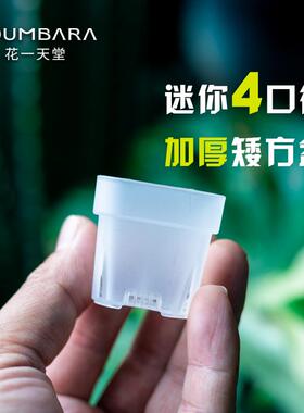 花一天堂特厚4口径迷你多肉塑料矮方花盆透明阳台控养省土育苗盆