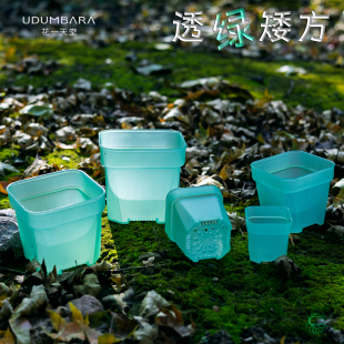 花一天堂调色高品半透绿特厚矮方多肉花盆塑料省土花卉绿植育苗盆