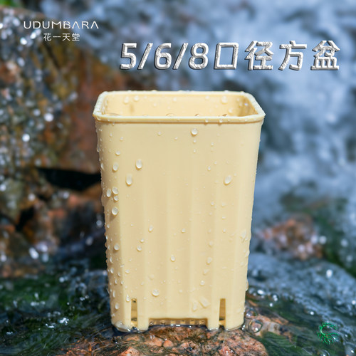 花一天堂加深控根多肉方塑料花盆