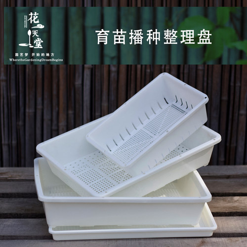 多肉植物育苗叶插盘多规格可闷养