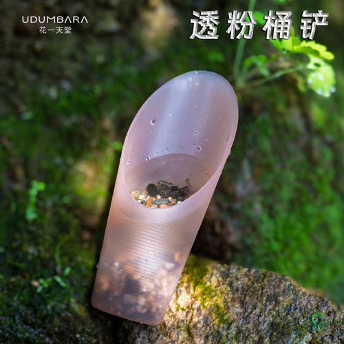 花一天堂定制半透粉土铲桶