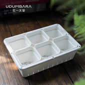 8口径特厚多肉塑料方花盆整理筐接水盘闷养箱阳台种菜育苗播种盘