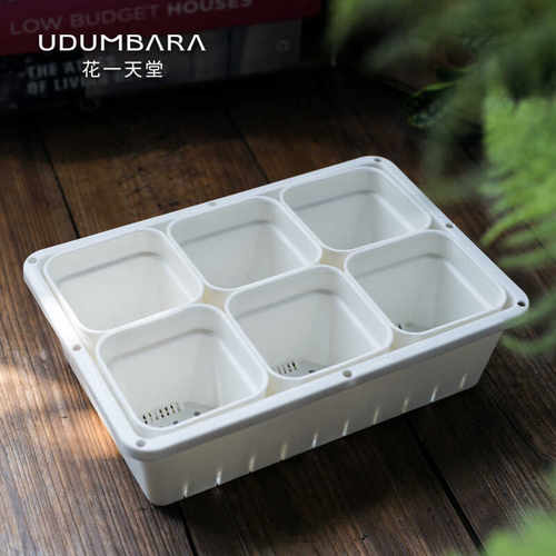 8口径特厚多肉塑料方花盆整理筐
