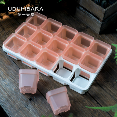 限定8口粉多肉方盆托架组合