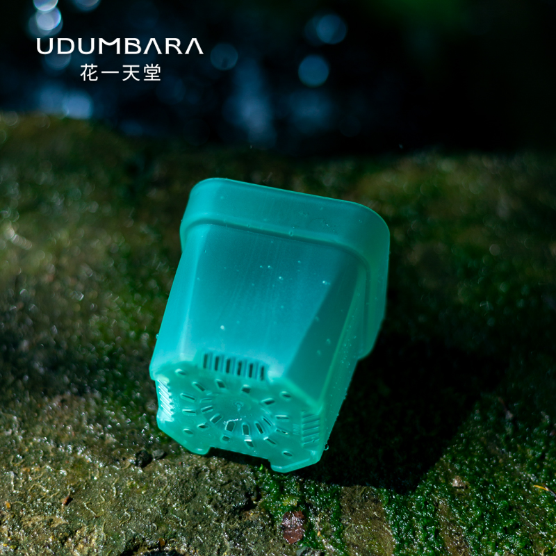 花一天堂半透翡翠绿特厚矮方盆