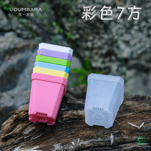 加厚多肉7cm方盆多色可选