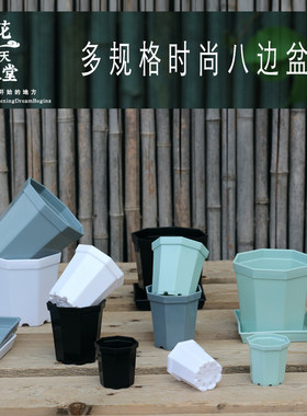 多肉八边塑料花盆多规格迷你