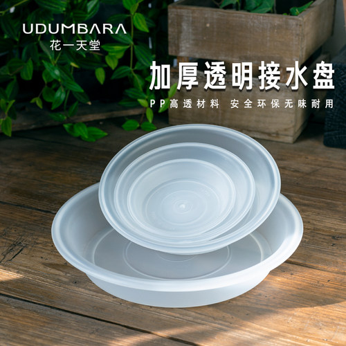 花一天堂透明花盆接水托盘