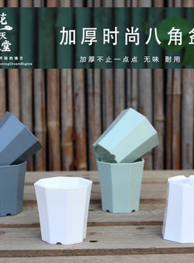 加厚八角多肉塑料花盆阳台控养景天肉锥番杏生石花育苗播种盆托架