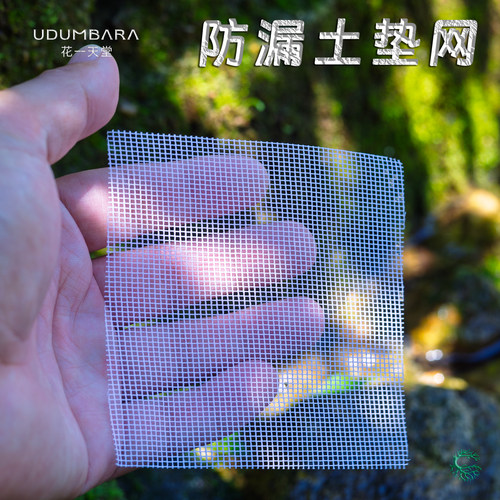 多肉植物花卉盆栽垫网防虫漏土网
