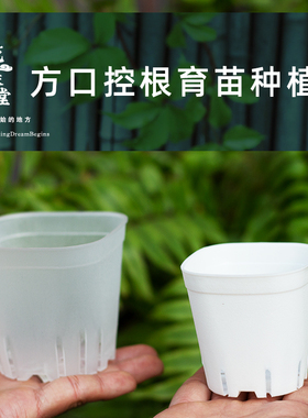 简约新款白色多肉花盆塑料矮方盆小口迷你阳台控根育苗种植盆加厚