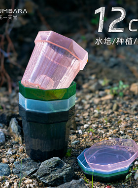 花一天堂彩色半透明八边水培花盆