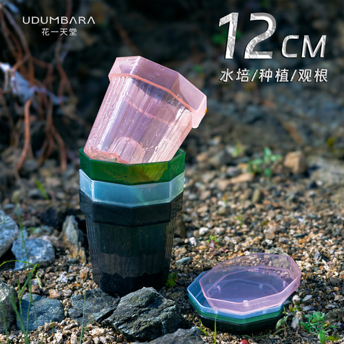 花一天堂彩色半透明八边水培花盆