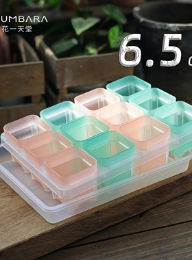 花一天堂半透6.5口矮方塑料花盆托架浸水盘控养多肉植物育苗透气