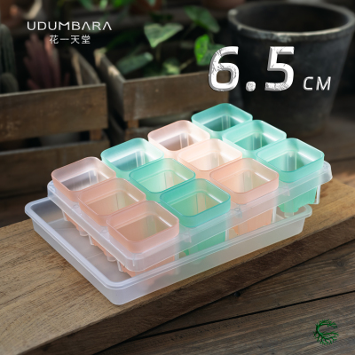 厚6.5cm矮方12格托架浸水盘组合