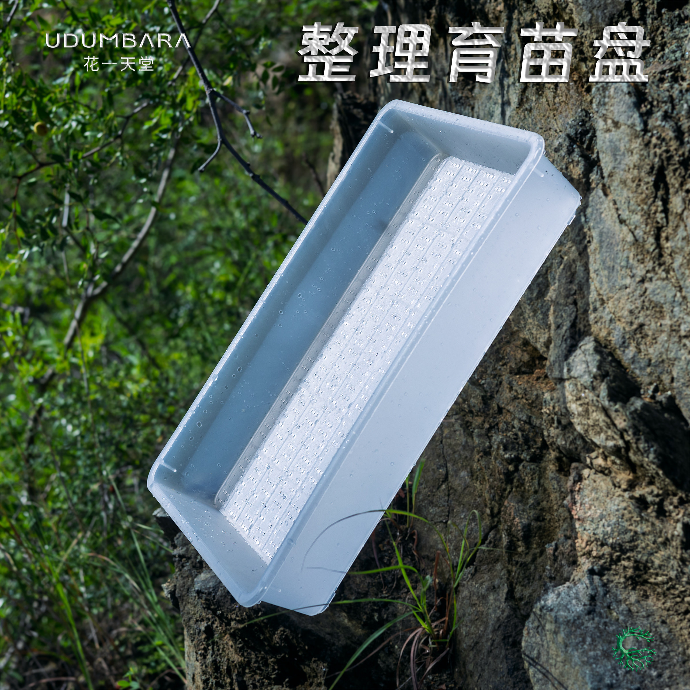 花一天堂透明塑料育苗播种筐盘多肉花卉蔬菜芽苗菜大号种植花盆盘,鲜花速递/花卉仿真/绿植园艺,花盆,淘宝优惠券,粉丝福利购,淘宝优惠卷