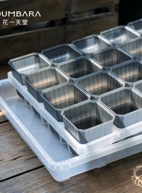 花一天堂高级半透灰7cm方多肉花盆透明托架浸盆长托盘育苗闷养箱
