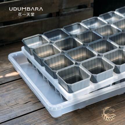 花一天堂高级半透灰7cm方多肉花盆透明托架浸盆长托盘育苗闷养箱