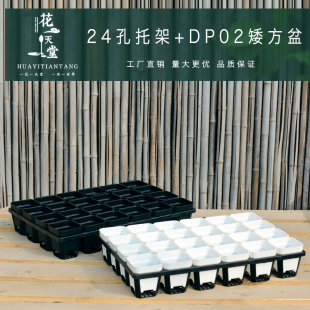 DP02矮方盆24孔托架组合肉肉生石花毛汉尼方盆整理托架大棚播种植