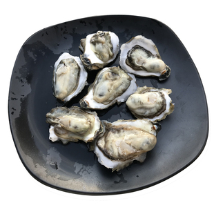 手取牡蛎肉3斤装一份三门特产海鲜蚝仔肉三门小海鲜顺丰产地