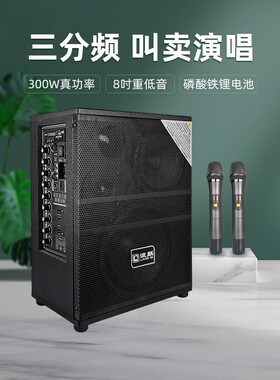 浪麒音响D63/D610/D612 双锂电户外大功率三分频蓝牙充电话筒音响