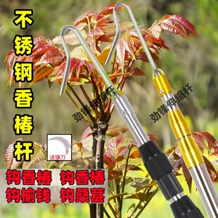 摘香椿芽采摘神器带钩伸缩长杆加厚不锈钢长度可调槐花采摘工具钩
