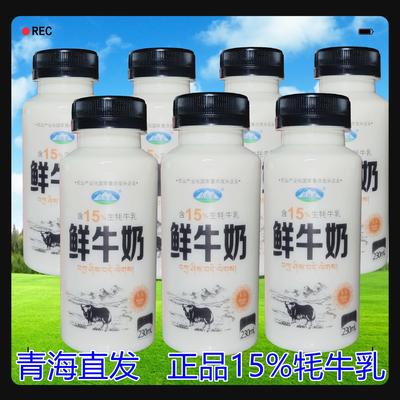 含15%牦牛奶青海湖鲜牛奶