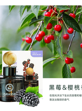 grasse劲牛王韩国车载香薰奔驰宝马豪车专属汽车香水除异味香氛