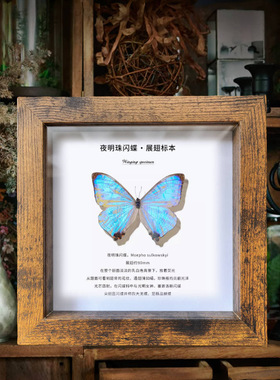 轻奢复古中空2厘米立体相框真玻璃蝴蝶昆虫标本框自装裱展示框