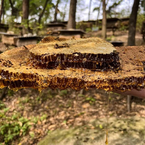 土蜂蜜纯正天然农家自产野生老蜂蜜五年蜂巢蜜孕妇百花蜜