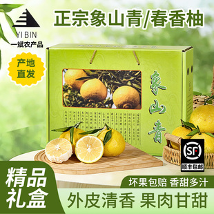 精品礼盒象山青橘柚春香金柚柑橘黄金贡柚甜桔柚应季水果顺丰直发