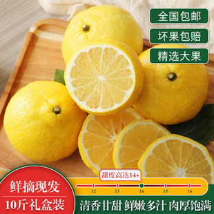 春香橘柚新鲜象山青精品礼盒装孕妇水果纯甜无酸柠檬蜜桔黄金贡柚