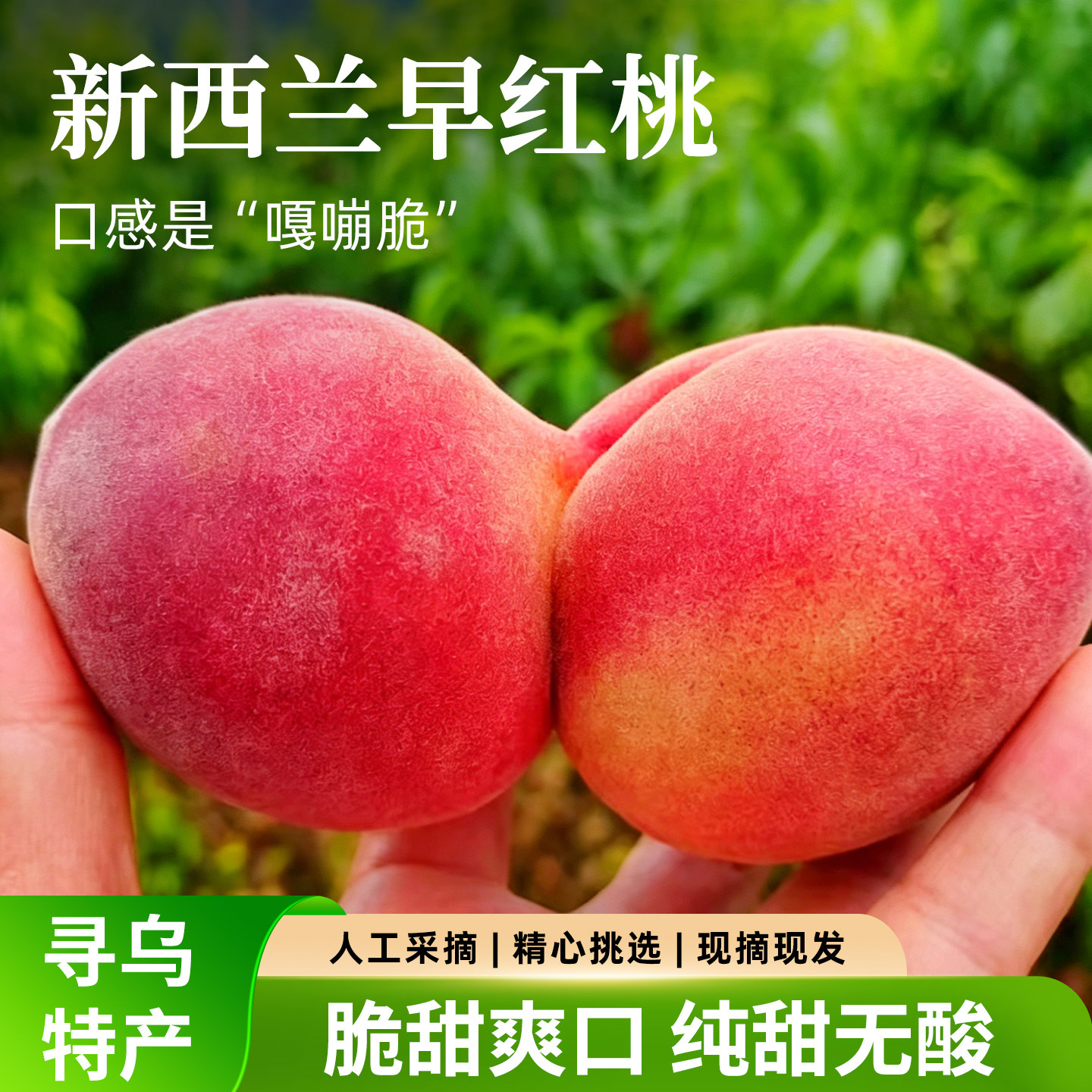 2026赣南早甜桃毛桃脆桃新西兰桃应季新鲜水果脆甜多汁非水蜜桃