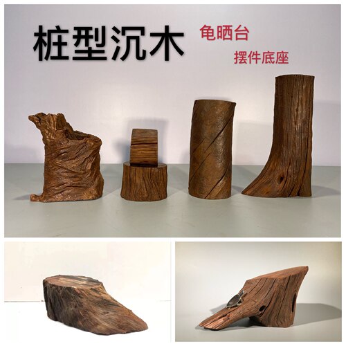 沉木乌龟晒台天然树墩水草