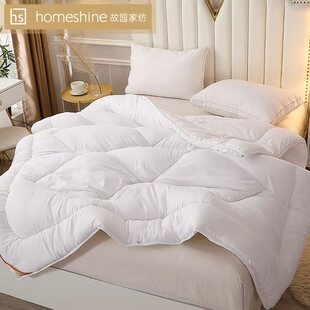 HomeShine/故园艾宁舒适春秋被