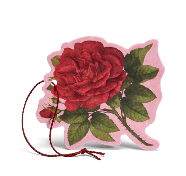 现货意大利蕾莉欧lerbolario绯红玫瑰芳香抽屉衣柜汽车薰香挂香片