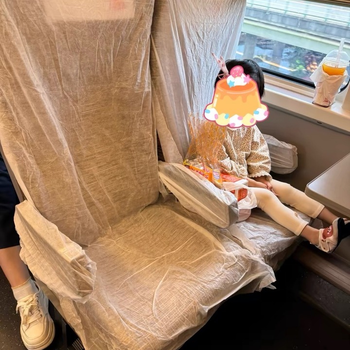 【高铁座椅套第一名】加厚全覆盖