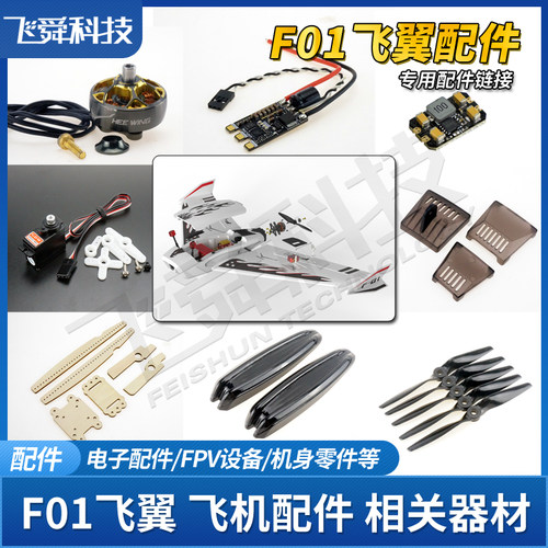 F01飞翼HEEWING航模飞机零配件