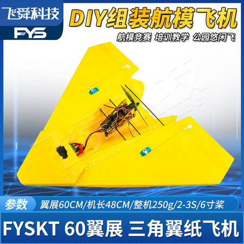 FYS航模遥控飞机好飞耐摔DIY科教