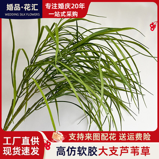 高仿软胶大支仿真芦苇草洋葱草绿植造景婚庆森系婚庆堂装 饰插花艺