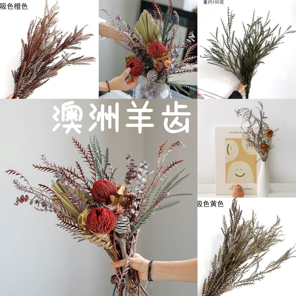 永生花澳洲羊齿绿色澳洲羊齿diy材料叶干花束材料包干树枝装饰物