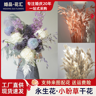 ins北欧风小盼草永生花干花婚庆高级感大厅装饰摆件手捧花束真花
