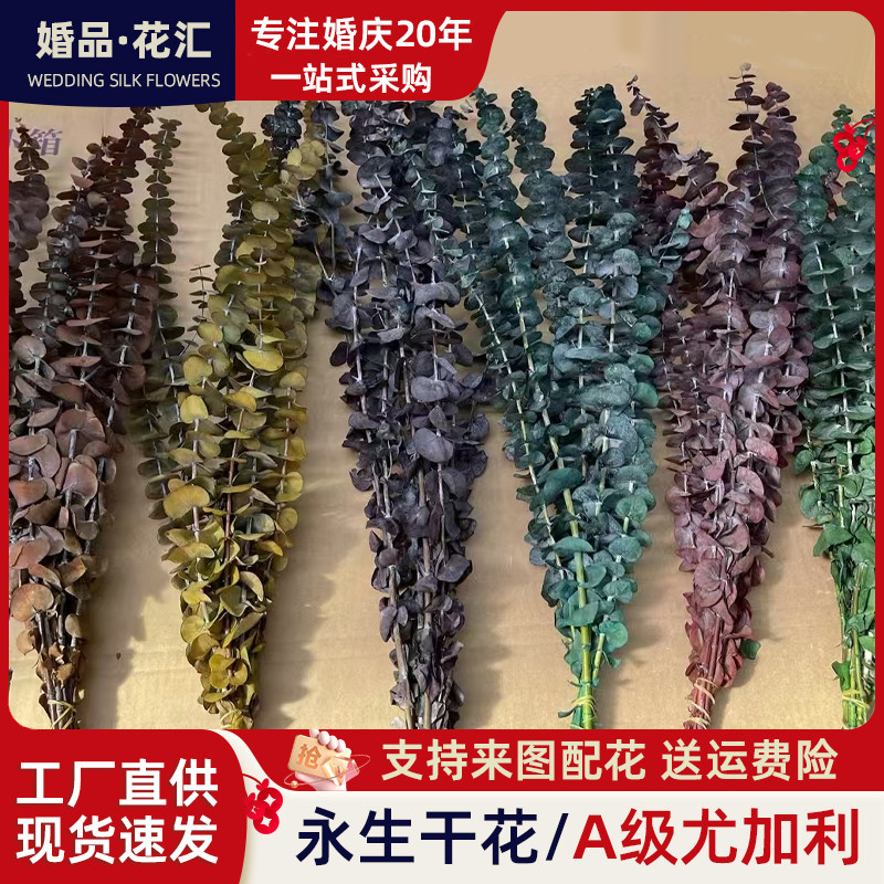永生尤加利叶铜钱桉真花高档花艺插花婚庆家居店铺软装陈设干花束