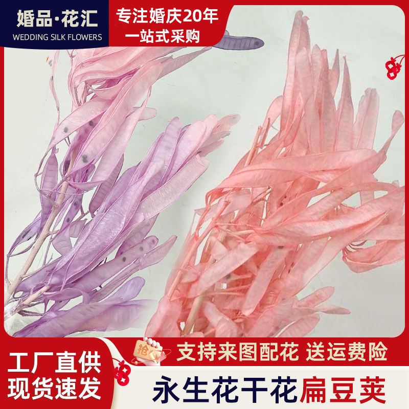 永生花大扁豆荚干花豌豆荚婚庆服装店装饰插花拍摄道具婚庆年宵花