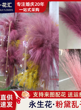 粉黛乱子草永生花云南干花家居景观装饰花仙女草网红蚊子草