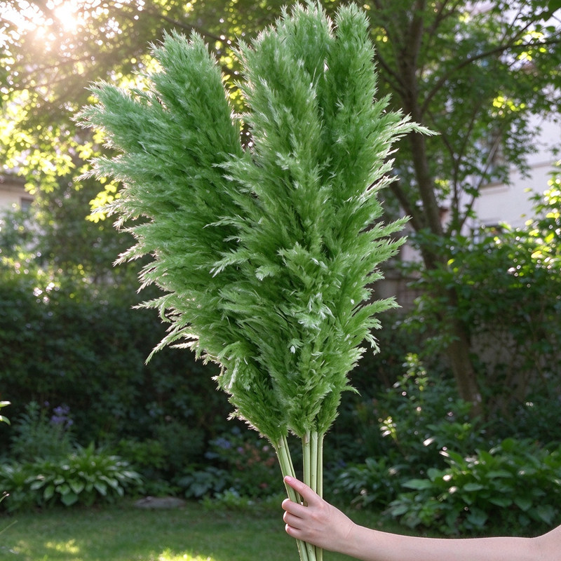 网红大蒲苇干花花束绿色大芦苇永生花超大蓬松婚庆拍摄道具落地花