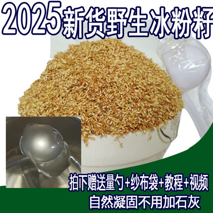 天然野生凉粉籽 手搓冰粉籽薜荔果子P爱玉籽手工冰籽500g无需石灰