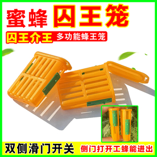 新款中蜂囚王笼蜜蜂控王笼介王笼多功能邮寄王笼意蜂王笼养蜂工具