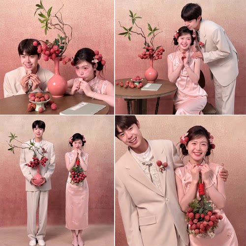 婚纱照粉色新中式仿真荔枝花瓶